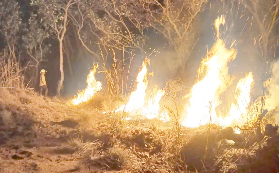 octavo_incendios