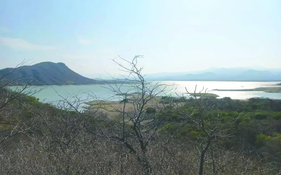 presa_baja