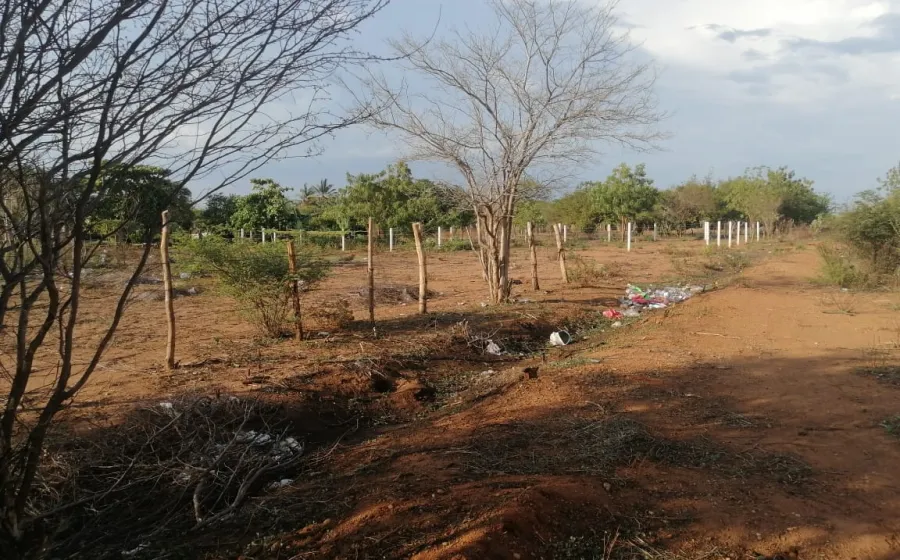 fuego_norte
