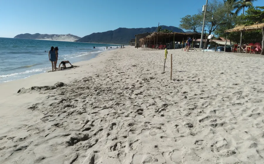 playa_repunte