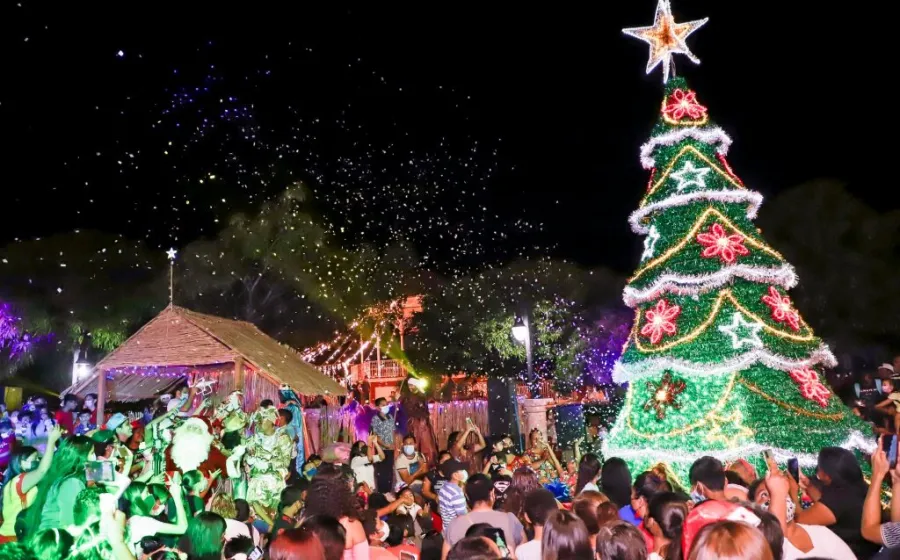 tehua_diciembre
