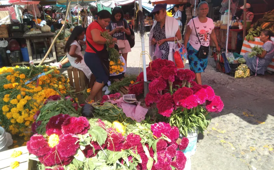 vendimia_flor