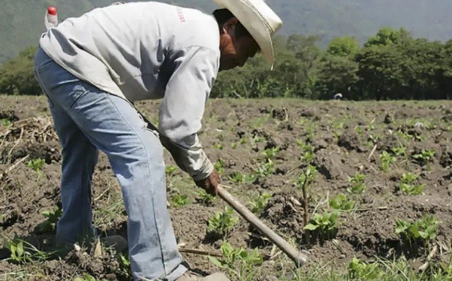 agricultor_huelga