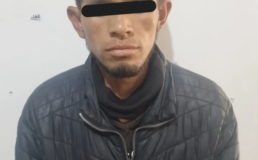lagartijo_preso