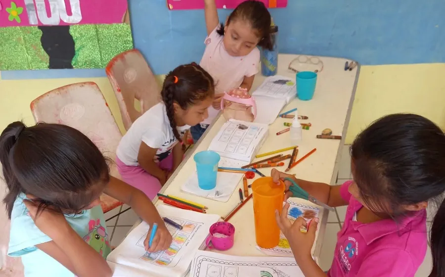 programa_raices