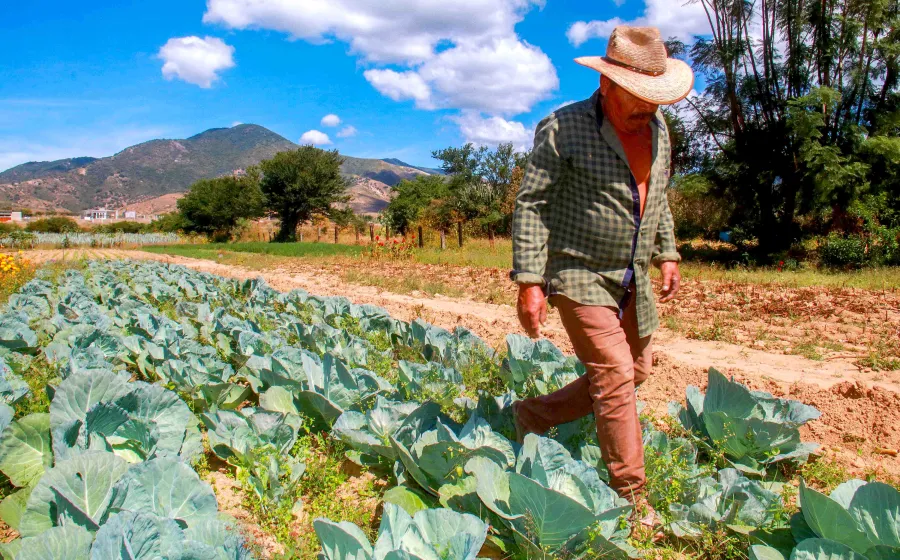 adultos_campo