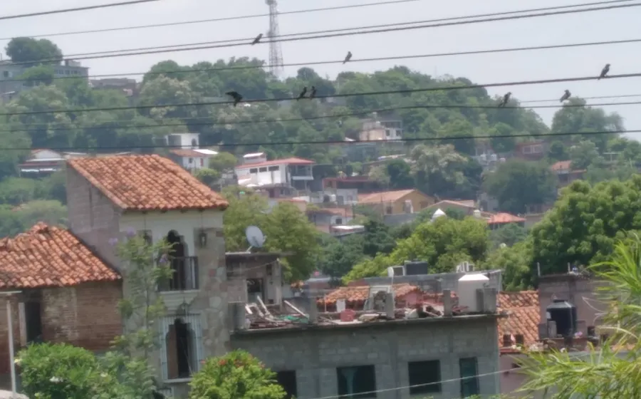 patrimonio_lluvias