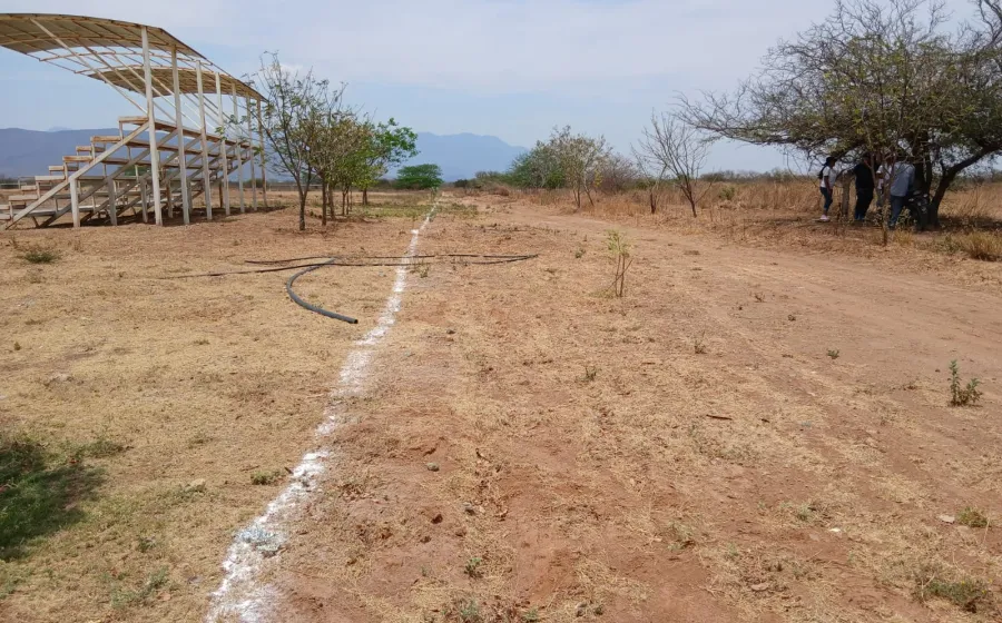 colonos_campo