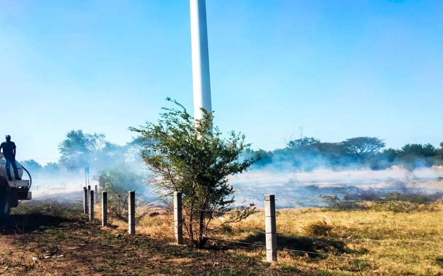 incendio_tigre
