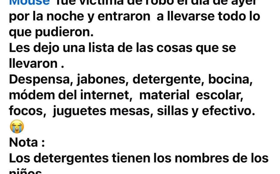 ladron_piden