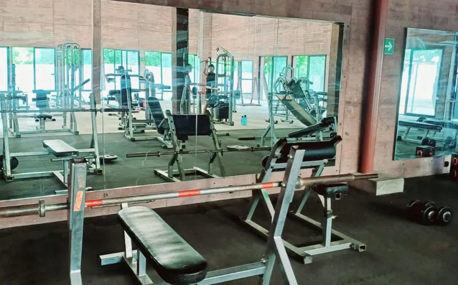 gratis_gim