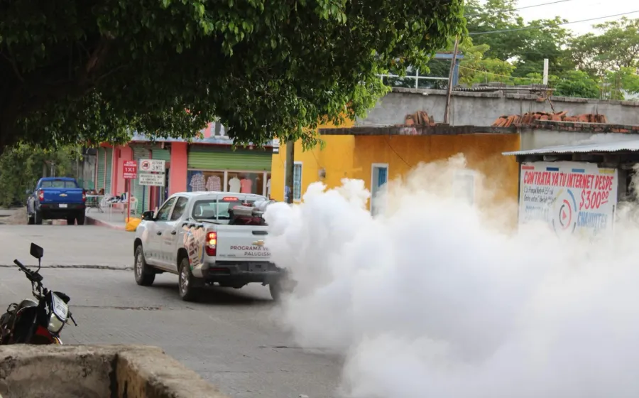 fumigacion_tapana