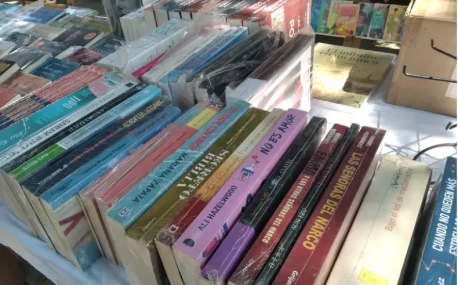 lectura_lieza