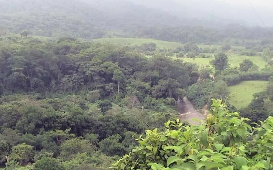 conflicto_chimas