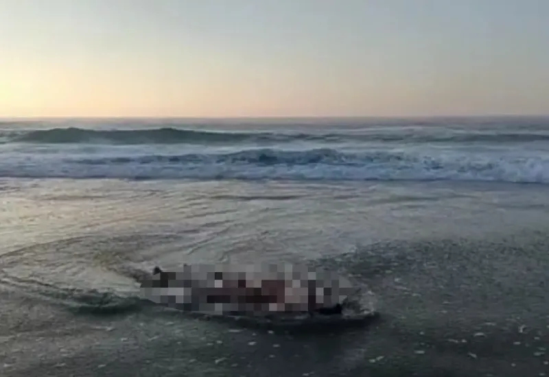 playa muerto 