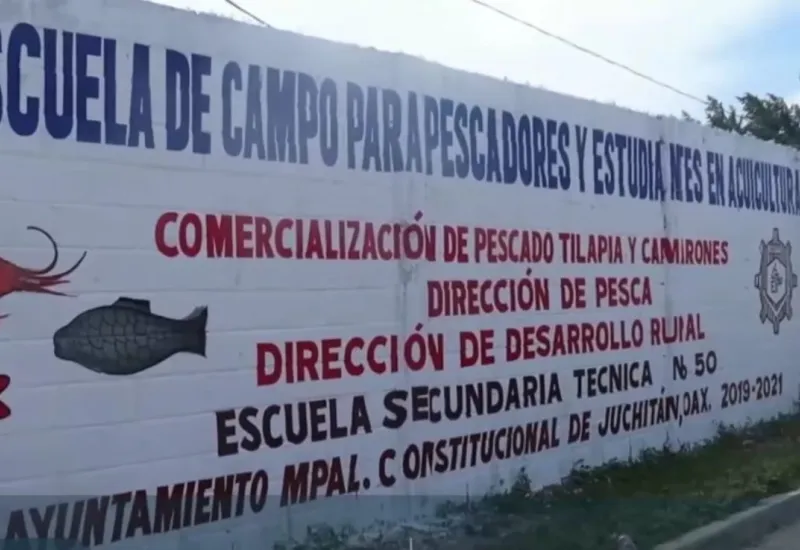 escuela-de-campo