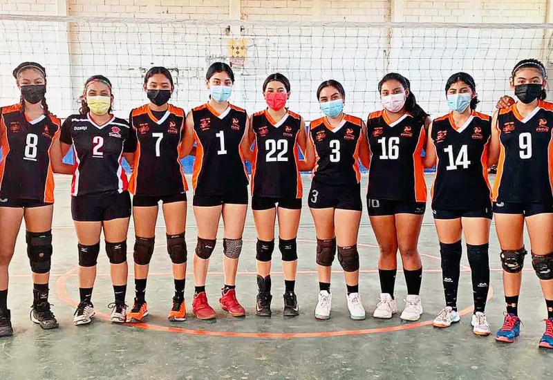 voleibol 