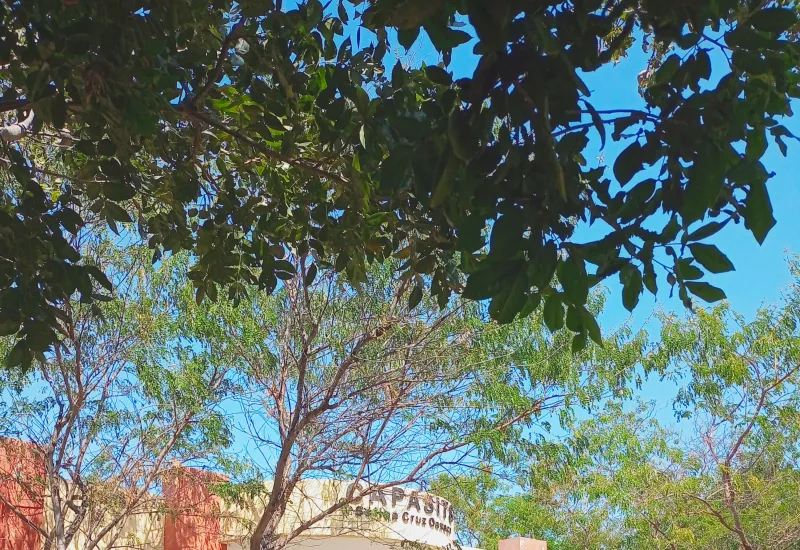 capasits