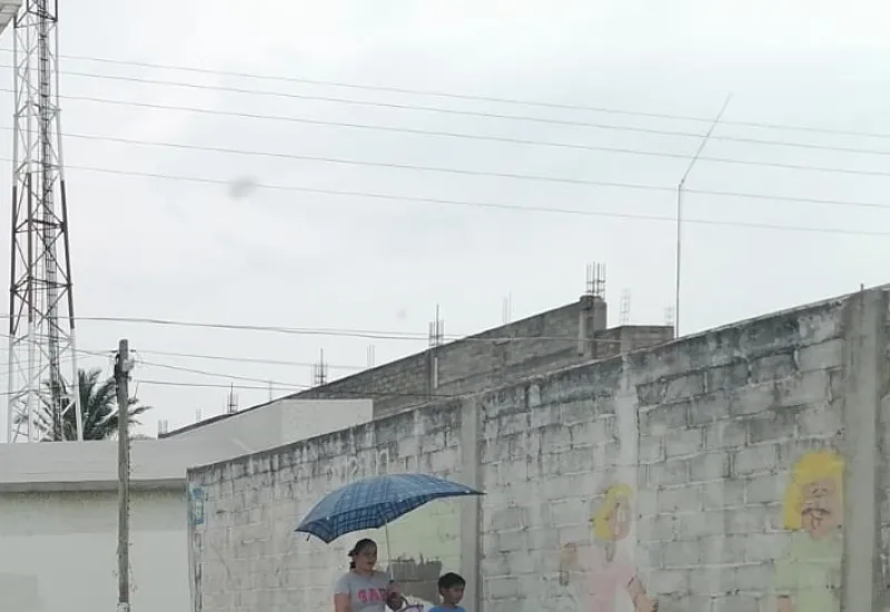 Mantenga todas las medidas de prevención contra el calor.
