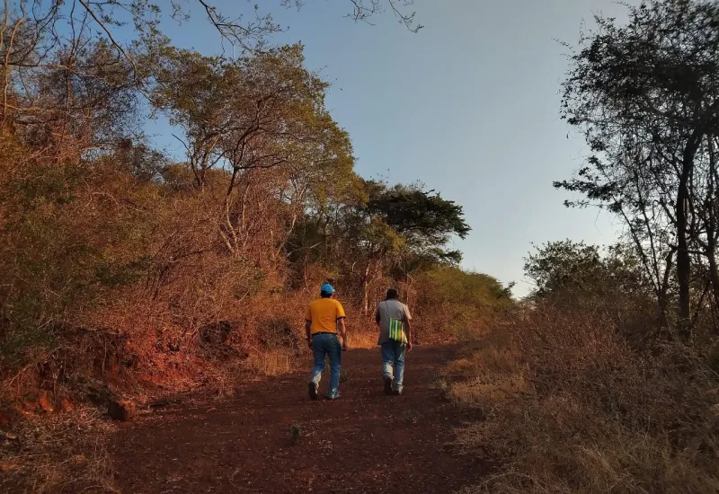 Cerro La Llovizna en Oaxaca