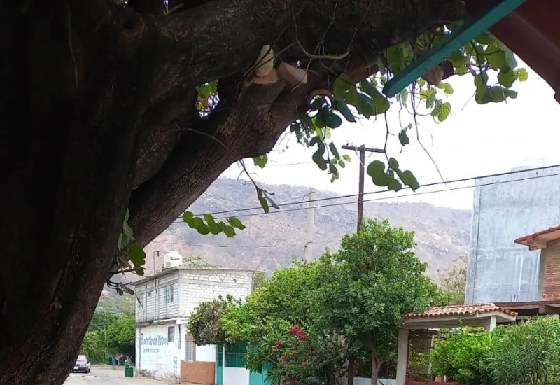 Los vecinos dieron aviso al Módulo de Riesgo, pero no han tomado cartas en el asunto.
