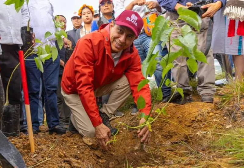 El Gobernador de Oaxaca encabezó esta actividad que tiene por objetivo replantar 100 hectáreas divididas en dos fases. Foto: Cortesía.