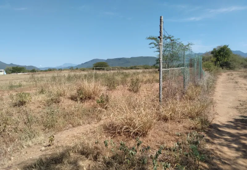 Están marcando espacios pero no existe claridad en torno a la delimitación del predio.