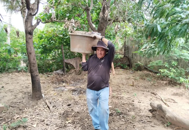 Es importante mantener las medidas de limpieza para evitar la reproducción del mosco transmisor.