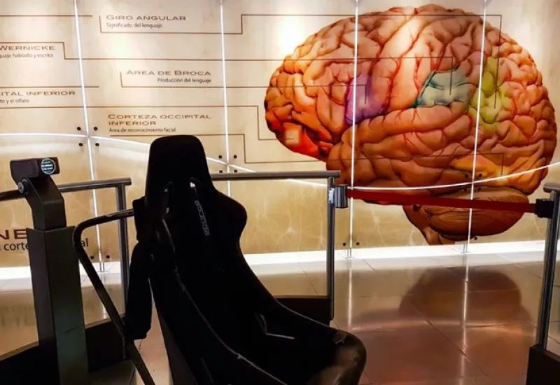 La investigación integra los campos de la neurociencia, la siquiatría y la neurocirugía. Foto: Agencias. 