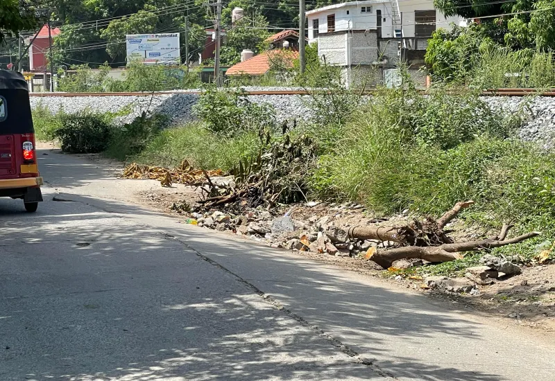Demandan la intervención del Ayuntamiento de la ciudad.