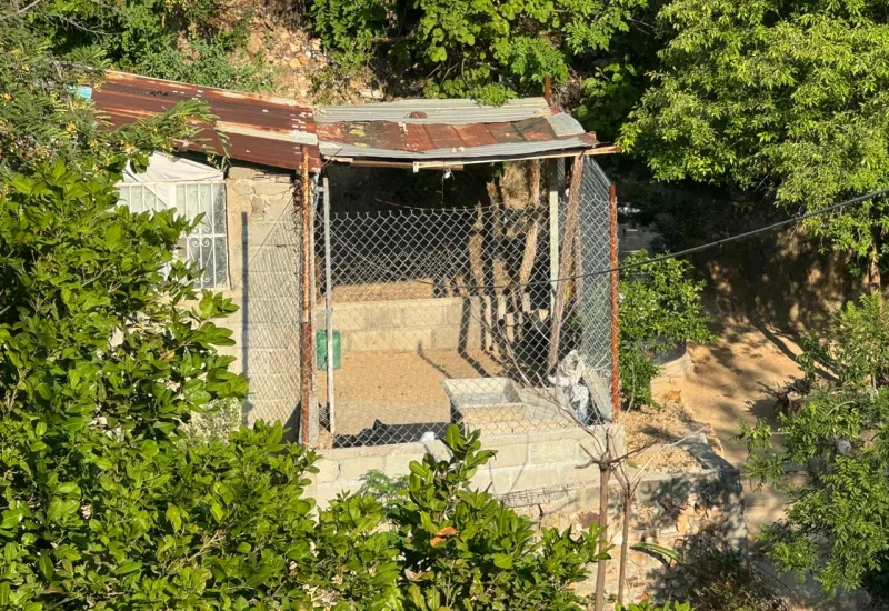 La vivienda está rodeada de árboles y se ubica en la parte alta de la colonia San Pablo.