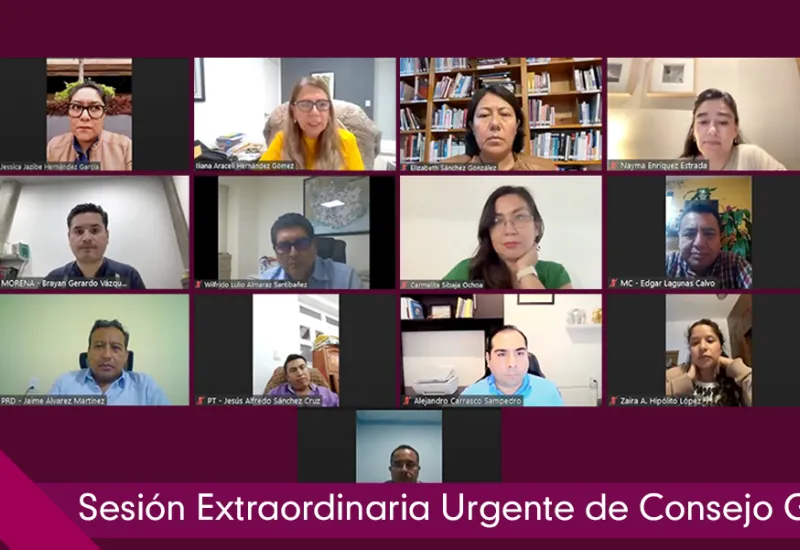 Los consejeros realizaron una sesión virtual. 