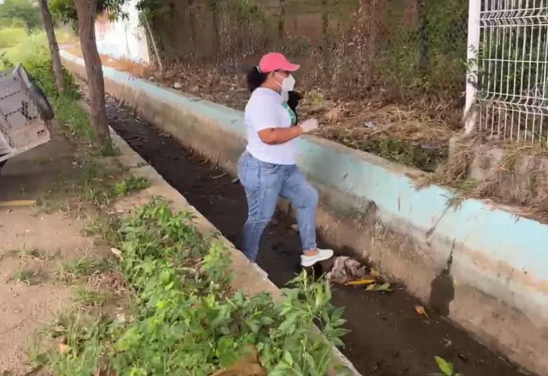 Es importante mantener las medidas higiénicas para evitar la reproducción del mosco.