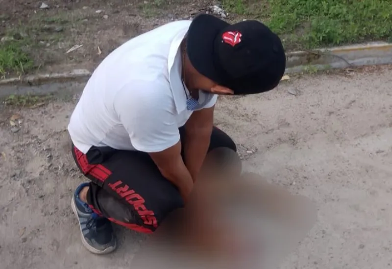 Los niños jugaban cerca de su casa cuando fueron sorprendidos por el feroz ataque. 