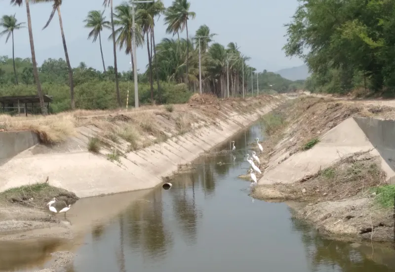 Los canales no han recibido el mantenimiento adecuado en años.