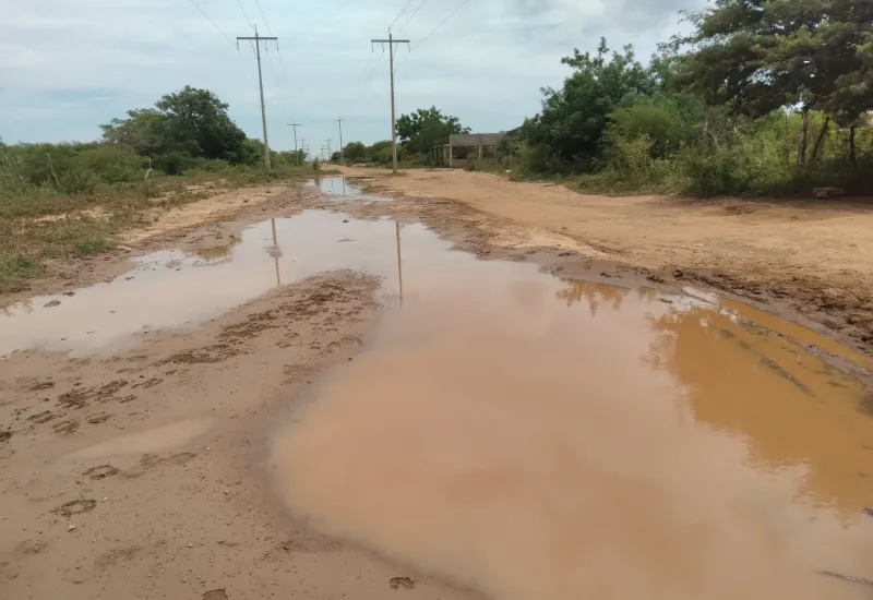 La temporada de lluvias es propicia para la reproducción del mosco transmisor del dengue.