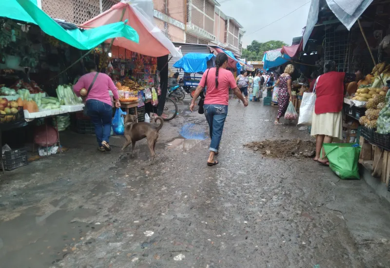 Las calles de Tehuantepec han sido invadidas por comerciantes informales.