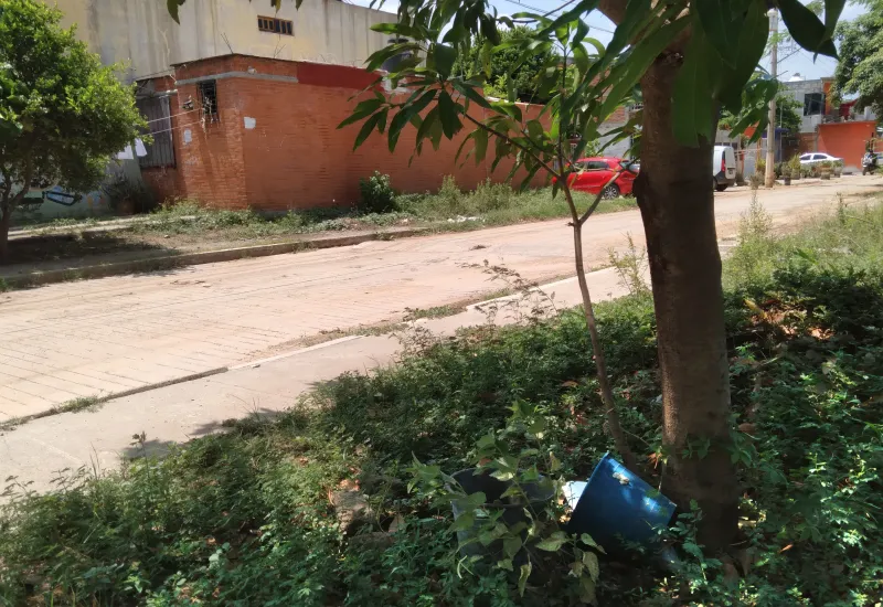 TEHUANTEPEC, Oaxaca.- Vecinos de diferentes fraccionamientos y colonia de Tehuantepec padecen la escasez de agua en sus domicilios, en algunos sitios ya llevan ocho días sin el líquido, y no hay para cuándo se restablezca el servicio.  Nos dijeron que solamente serán cinco días sin agua, y ya van ocho y al parecer el problema va para más tiempo, dijo Esperanza Juárez, vecina del fraccionamiento Tagolaba.  La falta del vital líquido nos ha llevado a adquirir pipas de agua, con el fin de satisfacer nuestras n
