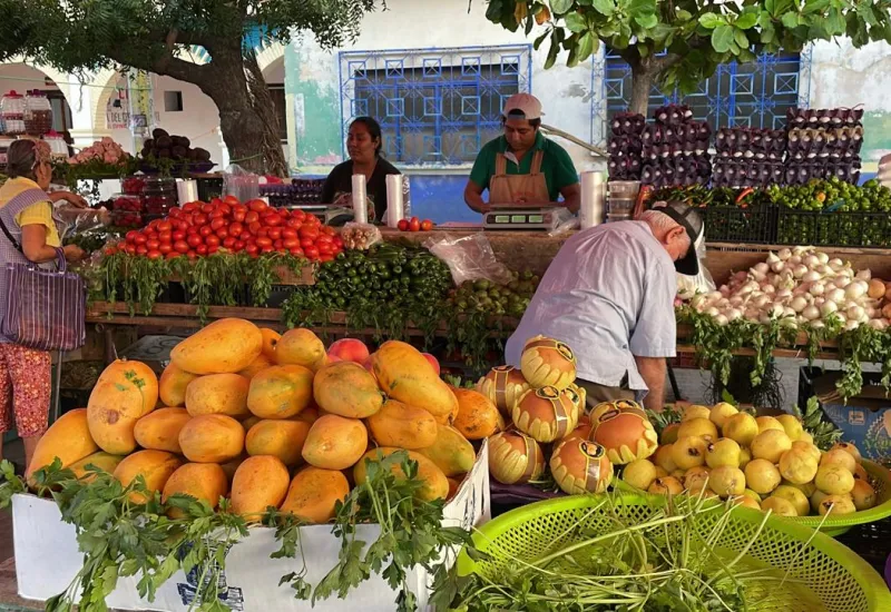 Los tianguis que se instalan en varios municipios del Istmo resulta una opción más económica para que las familias surtan su despensa.