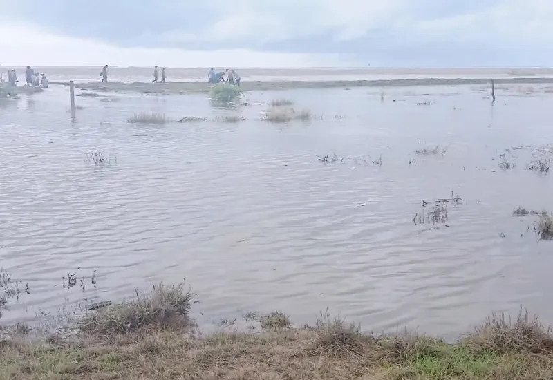 afectados_mar